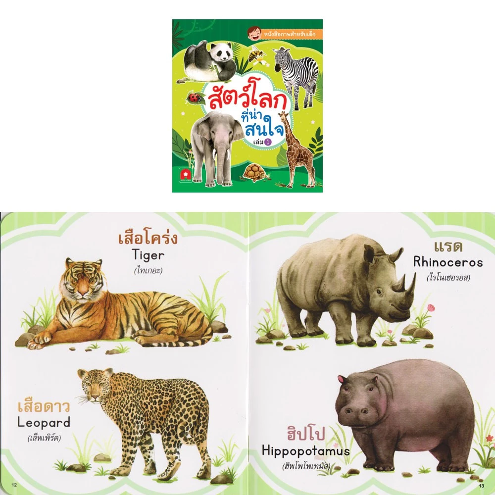 Aksara for kids หนังสือ คำศัพท์ สัตว์ ผัก ผลไม้ (แยกเล่ม) thumbnail 5