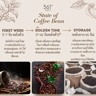 361°Kyoho เมล็ดกาแฟอราบิก้าแท้ 100% (Limited)