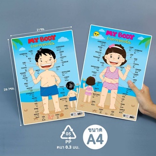 โปสเตอร์คำศัพท์ร่างกายของฉัน ขนาด A4 My Body (Boy &amp; Girl) EA-336 337