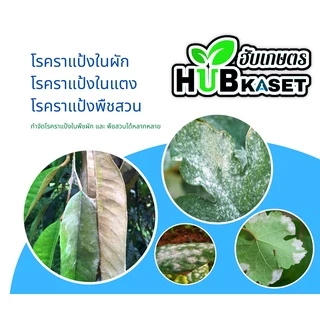 ฟังกูราน 1กิโลกรัม (คอปเปอร์-ไฮดรอกไซด์77%WP) ป้องกันเชื้อราและแบคทีเรีย