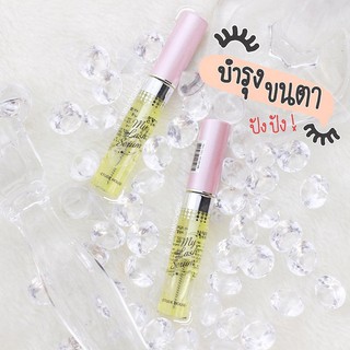 Etude My Lash Serum ขนาดปกติ