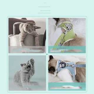 พร้อมจัดส่ง สายจูงแมว สายจูงสัตว์เลี้ยง สไตล์การ์ตูน
