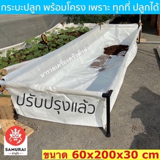 ค่าส่งถูก!! กระบะปลูกผัก พร้อมโครงเหล็ก ขนาด 60x200x30 cm กระบะปลูกผักพร้อมโครง