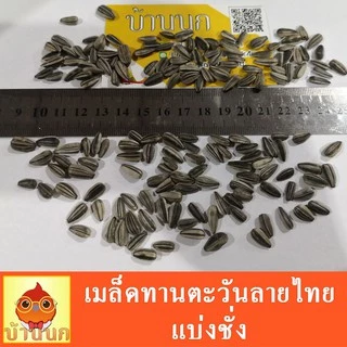 ทานตะวันลายไทย 500g / 1kg / 1.5kg อาหารนก อาหารหนู แฮมสเตอร์ hamster อาหารสัตว์ ทานตะวัน sunflower