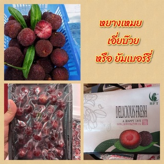 🍒หยางเหมยหรือ เอี่ยบ๊วย หรือ ยัมเบอร์รี่🍒ส่งขนรถเก็บอุณหภูมิ