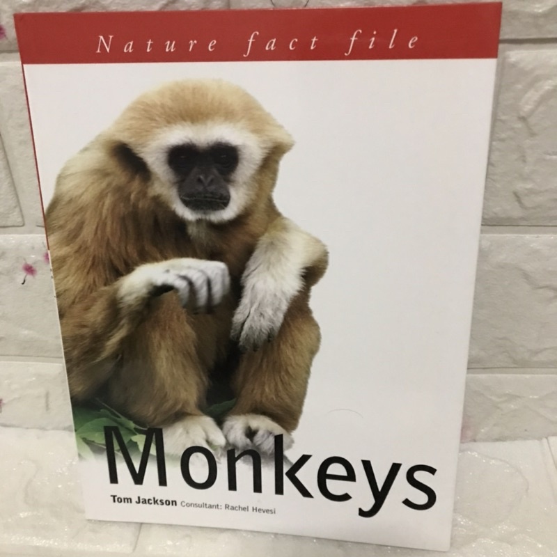 Monkeys ปกอ่อนมือสอง-AE3/3