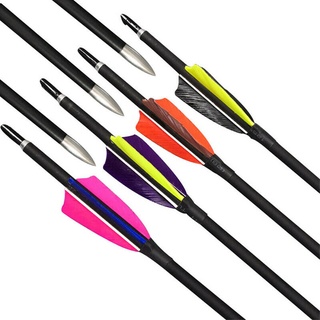 31  ลูกศรคาร์บอน 2  ตุรกี Feather Archery Spine900 Recurve Bow Hunting Shoot