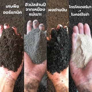 ปุ๋ยหมักคุณภาพสูง (1kg) ปุ๋ยหมัก ปุ๋ยอินทรีย์ เร่งดอก เร่งราก ดูแลลำต้น บำรุงดิน