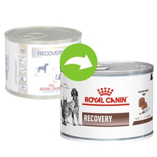 Royal Canin Recovery อาหารสัตว์ป่วย พักฟื้น สุนัข/แมว กระป๋อง 195 กรัม