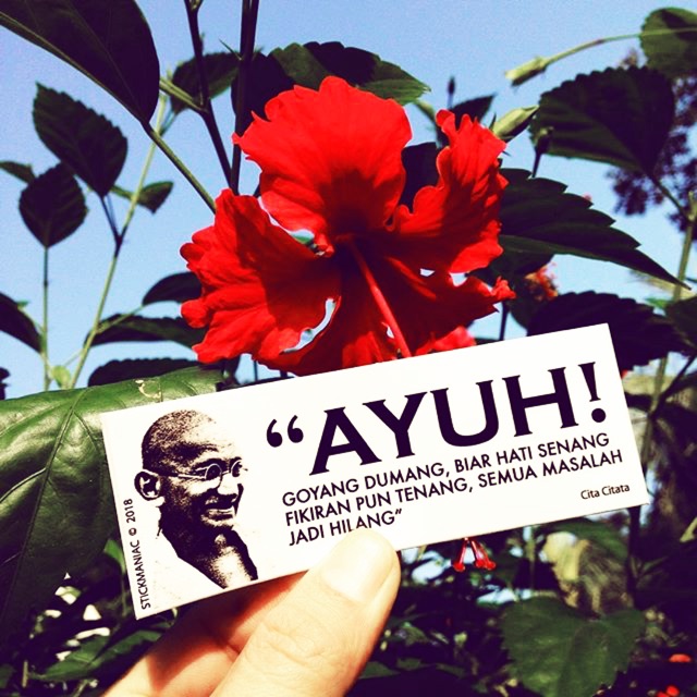 มาเลย! F359*********