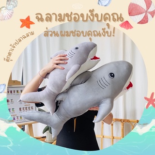 พร้อมส่ง‼️ฉลามชอบงับคุณ ส่วนผมชอบคุณงับ🦈 ตุ๊กตาปลาฉลาม ตุ๊กตาฉลามตัวใหญ่ ผ้านุ่มนิ่ม 📦พร้อมส่ง ราคาโรงงาน มีเก็บปลายทาง🚚