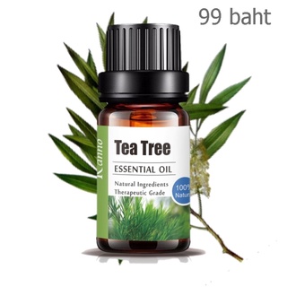 Aliztar 100% Pure Tea Tree Essential Oil 10 มิล น้ำมันหอมระเหยทีทรี สำหรับอโรมาเทอราพี เตาอโรมา เครื่องพ่นไอน้ำ ผสมน้...