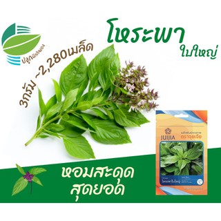 โหระพา​ใบใหญ่ (Sweet Basil​)​