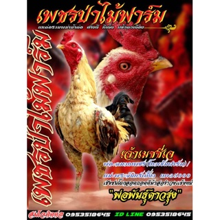 พ่อพันธุ์สายเลือดเงินล้านพิเศษ3ฟอง300บาท