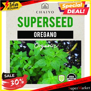 เมล็ดพันธุ์ออริกาโน ชัยโย 380 เมล็ด เมล็ดพันธุ์ OREGANO (ORGANIC) 380 SEEDS ต้นไม้และเมล็ดพันธุ์