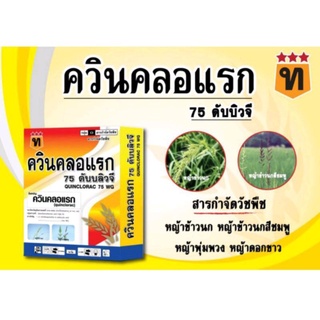 ควินคลอแรก (quinclorac) 75%wg