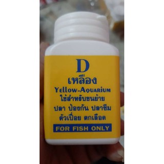 DเหลืองYellow-Aquarium
