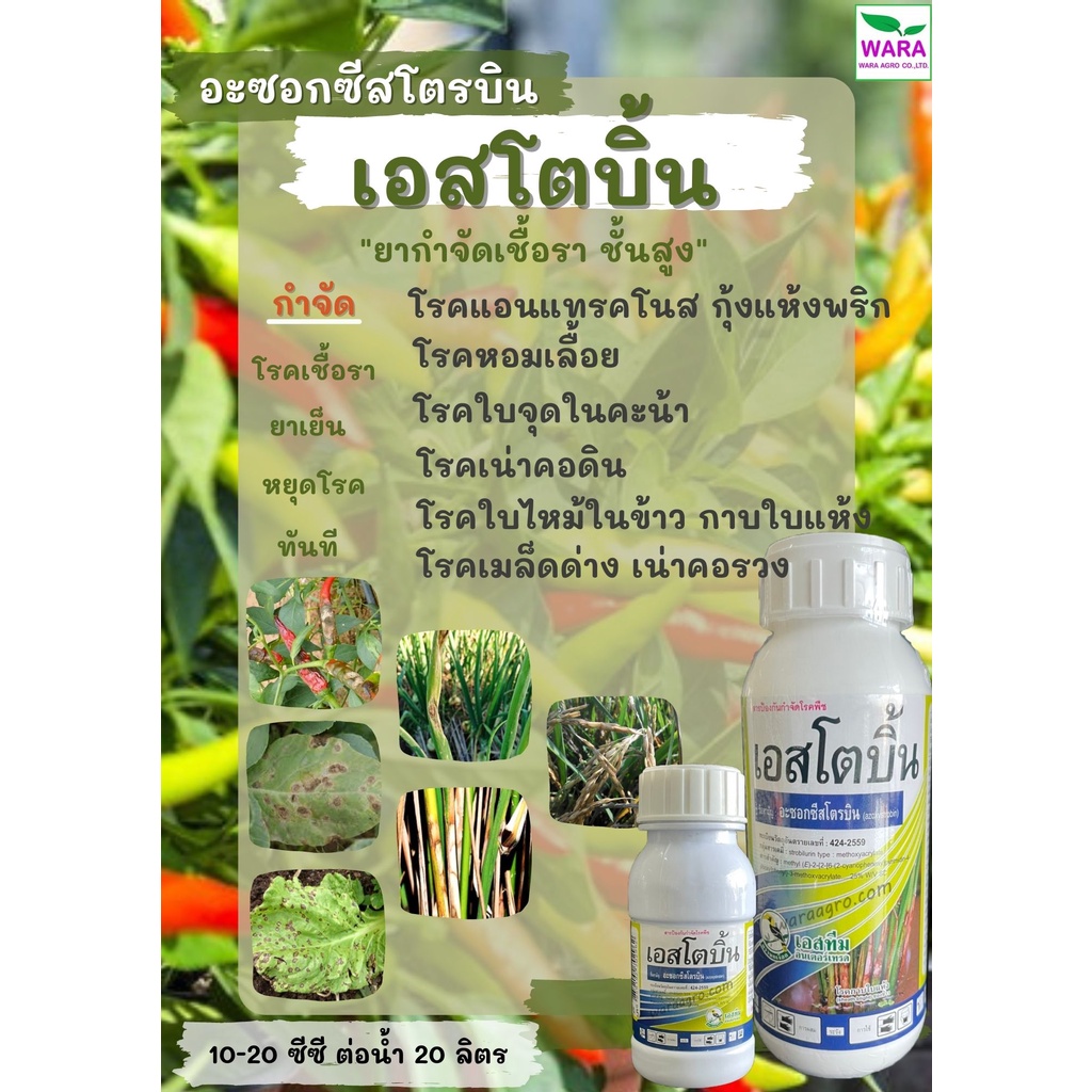 แอนแทรคโนส ใบจุดดำ ใบลาย ใบเหลือง หอมเลื้อย ราสนิมขาว ผลเน่า รากเน่าโคนเน่าหยุดโรคทันที อะซอกซีสโตบิน25เข้มข้น เอสโตบิ้น