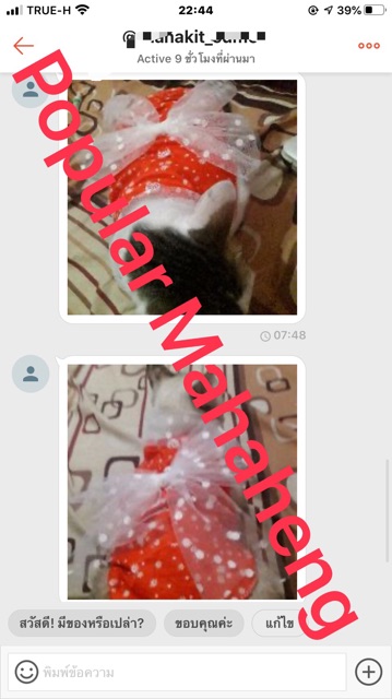 แพทเทิร์น ชุดหมา ชุดแมว สำหรับตัดเย็บ DIY ( ขายวิธีสอนการเย็บเสื้อน้องหมาแมวด้วยนะคะ ) - รูปที่ 7