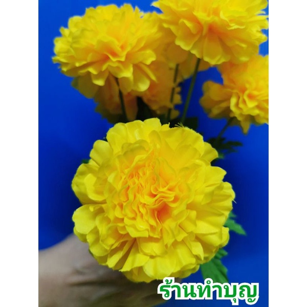 ดาวเรือง ช่อดอกดาวเรือง ดอกดาวเรืองใหญ่ 1 ช่อมี 7ดอกใหญ่ หรือ 9 ดอกคละ  ใช้ไหว้พระ ใช้ตกแต่ง วางบนหิ้งพระ ดอกไม้ไหว้พระ - รูปที่ 4