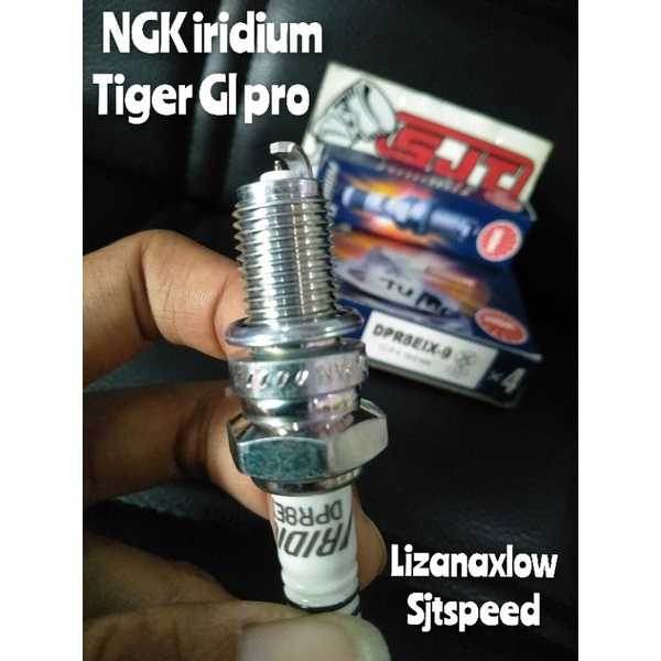 หัวเทียน NGK iridium tiger glpro