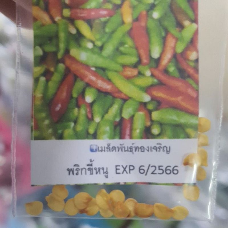 พริกขี้หนู📌ถูกที่สุด10บ.📌เมล็ดพันธุ์พริกขี้หนู 20 เมล็ด ☘️ปลูกง่าย🌱ขึ้นไว🌱ลูกดก☘️เผ็ดหอม