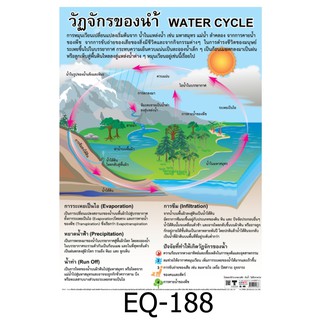 วัฏจักรของน้ำ EQ-188 สื่อโปสเตอร์ภาพ กระดาษ หุ้มพลาสติก