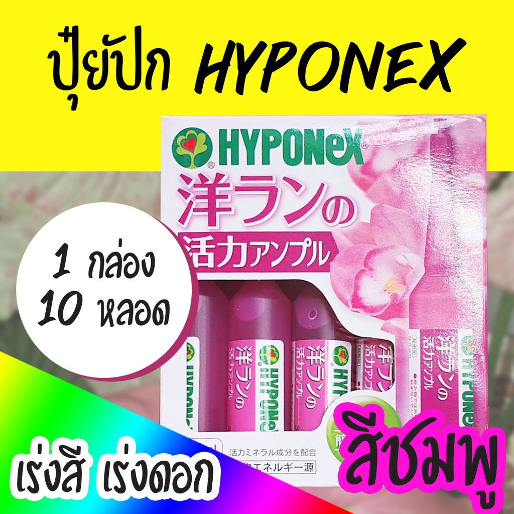 ปุ๋ยปัก ไฮโพเนกซ์ (Hyponex Ampoule) สีชมพู สูตรบำรุงดอก และเร่งสี 1 กล่อง 10 หลอด