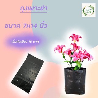 ถุงเพาะชำ ขนาด 7×14 นิ้ว ครึ่งกิโล ได้ 21 ใบ/แพ็ค ราคา40บาท