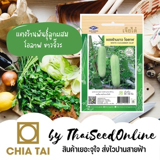 CTF1 เมล็ดพันธุ์ แตงร้านสีขาว แตงร้านขาว ลูกผสม โอลาฟ ตราเจียไต๋ Cucumber