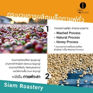 เมล็ดกาแฟคั่วบด Siam Fresh Coffee | กาแฟสดคั่วบด กาแฟคั่วเข้ม Arabica 100% | ขนาด 250g.