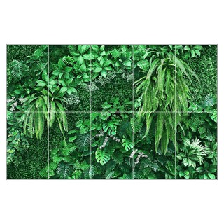 กระเบื้องผนังภาพชุด 10X16 นิ้ว เรนฟอเรสท์ EXC WALL TILE ARTE RAINFOREST 10X16” GREEN 1.80M กระเบื้องเซรามิกปูผนัง จาก A