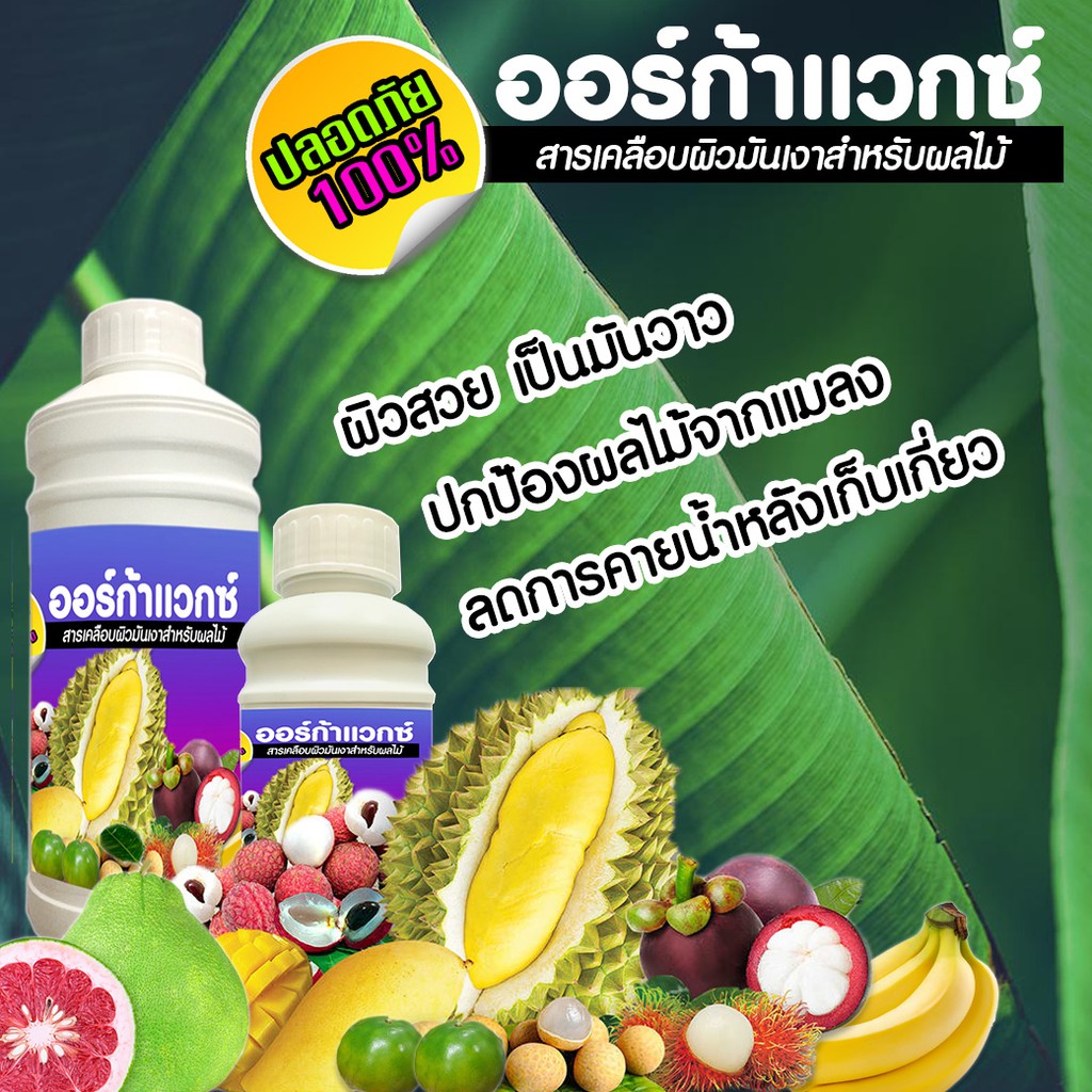 ออร์ก้าแวกซ์ (สารเคลือบผิวมันเงาสำหรับผลไม้) ผิวเงา เป็นมันวาว คุมไข่แมลง