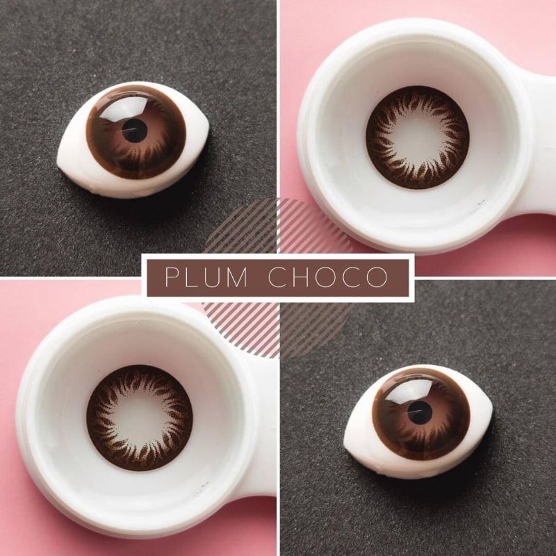 💜 PLUM Choco Brown บิ๊กอาย สีช็อคโก้ สีน้ำตาล แบ๊ว ตาโต Dream Color1 Contact Lens Bigeyes