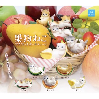 🅟🅕 กาชาปองพวงกุญแจน้องแมวผลไม้ 🐈 🍌🍊🍉🍈 Cat fruit mascot ball chain gashapon