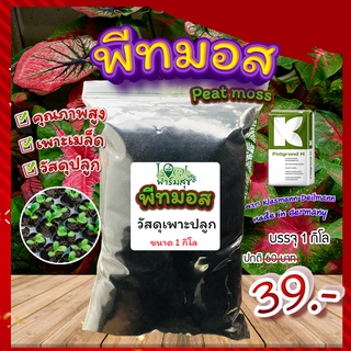 พีทมอส คลาสแมน (Peat moss) 1 กิโล 🌈 พีชมอส วัสดุปลูก นำเข้าคุณภาพสูง ดินปลูกต้นไม้ เพาะกล้า เพาะเมล็ดอัตราการงอกสูง