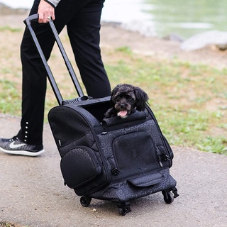 Gen7Pets Roller-Carrier Backpack with Smart-Level กระเป๋า เดินทาง สัตว์เลี้ยง