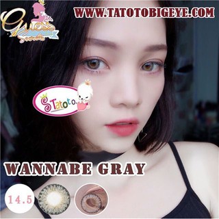 Merida Gray TATOTO Contact Lenses บิ๊กอาย #336