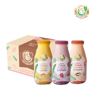 Milk Plus &amp; More คละ3รส 12ขวด น้ำหัวปลีสกัดเข้มข้นผสมอินทผลัม  Organic 100%  เพิ่มน้ำนม บำรุงครรภ์ ช่วยขับถ่าย