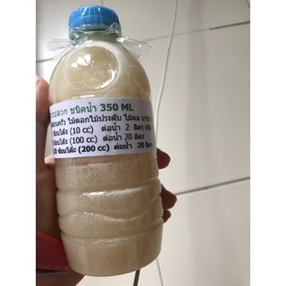 จุลินทรีย์จาวปลวก ชนิดน้ำ 350ml ขนาดทดลอง