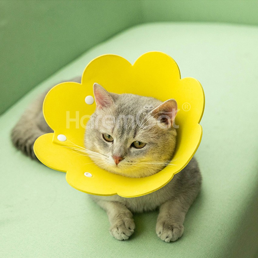 Harmcat คอลล่าโฟม ปลอกคอกันเลีย คอลล่าร์ ปลอกคอกันเลีย ปลอกคอกันเลีย สำหรับสุนัข/แมว ติดล๊อกด้วยตีนตุ๊กแก แน่น - รูปที่ 6