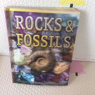 ROCKS &amp; FOSSILS ปก2มิติ