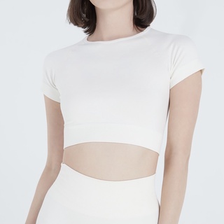 LOLLIPOP SEAMLESS SHORT SLEEVE CROP TOP