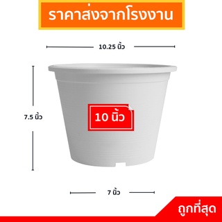 กระถางต้นไม้พลาสติก กระถางต้นไม้สีขาว กระถาง สีขาว 10 นิ้ว