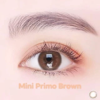 ส่งด่วนทุกวัน‼️คอนแทคเลนส์ Mini Primo Brown - Kitty Kawaii ขนาดมินิ