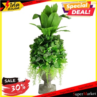 กระถางต้นไม้ประดิษฐ์โรมัน SPRING MT050H ไซส์ M 75 ซม. ต้นไม้ประดิษฐ์ ARTIFICIAL POTTED PLANT WITH POT SPRING MT050H M 75