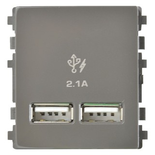 เต้ารับ 2 ช่อง SCHNEIDER 8432USB_BZ 2.1A
