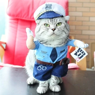 CAT CLUB ชุดแมว เสื้อแมว คอสเพลย์ เสื้อสุนัข ชุดหมาแมว เครื่องแต่งกายสุนัขแมวตลก