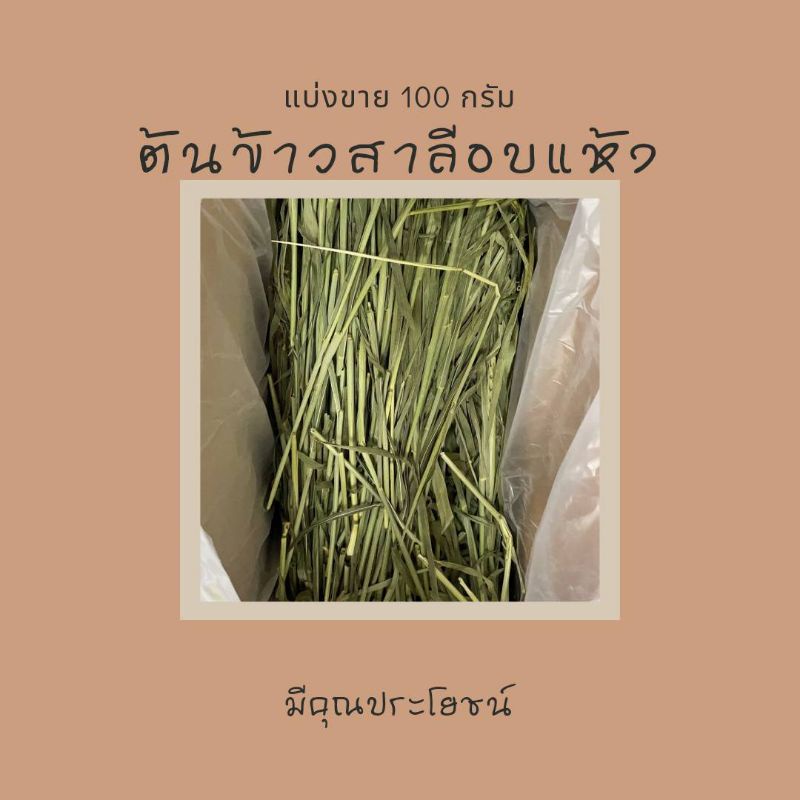 ต้นข้าวสาลี ,ทีโมธี พรีเมี่ยมอบแห้ง (แบ่งขาย) 100 กรัม