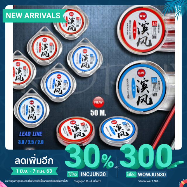 สายเอ็นGW สำหรับชิงหลิว